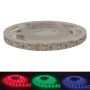 PowerLED Flexistrip LED Tape 24V RGB and Warm White 5M IP20
