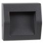 Lightplan Outdoor Square Wall Light Dark Grey with Frosted Glass