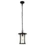 Lightplan Pendant Black with Clear Glass